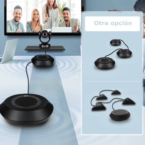 AVer - Paire de microphones d'extension pour VC520