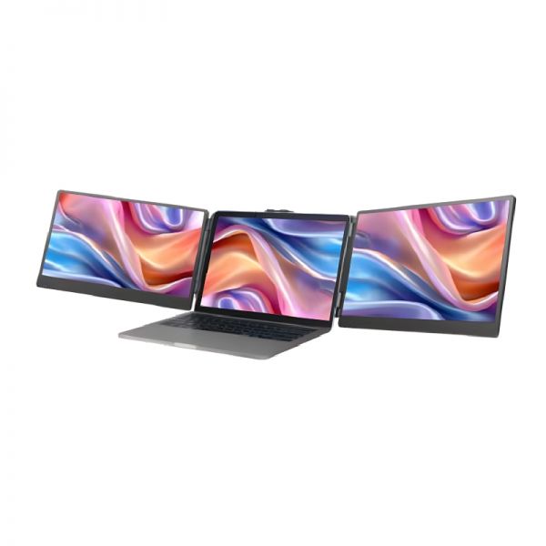 Double extension d'écran Cleyver pour PC