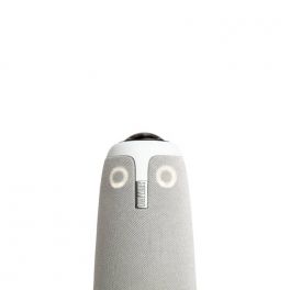 Meeting Owl 3
