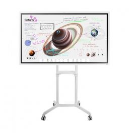 Samsung Flip 4 65'' + support Neomounts 