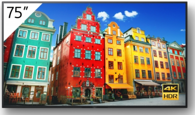 Sony BRAVIA FW-75BZ30J - 75 pouces
